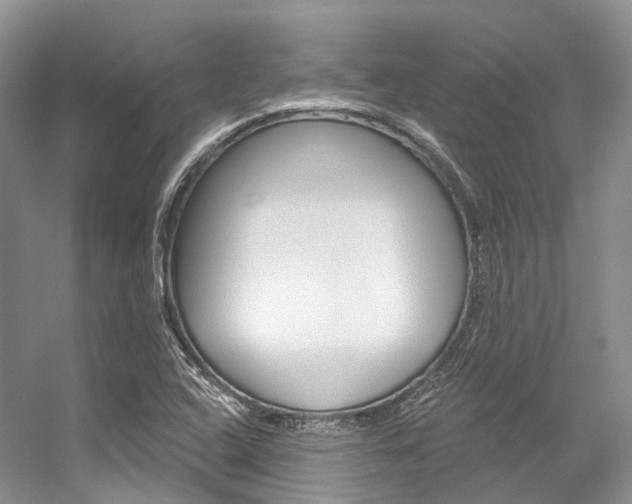 X0000056321408200508260839