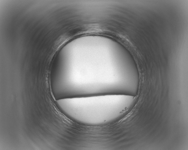 X0000056321409200508260839