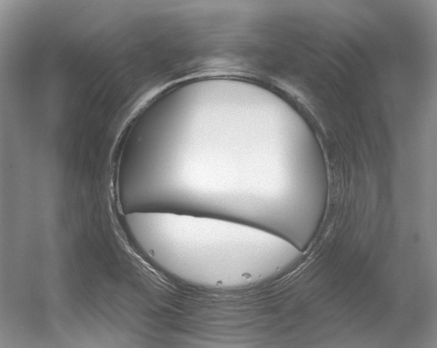 X0000056321415200508260839