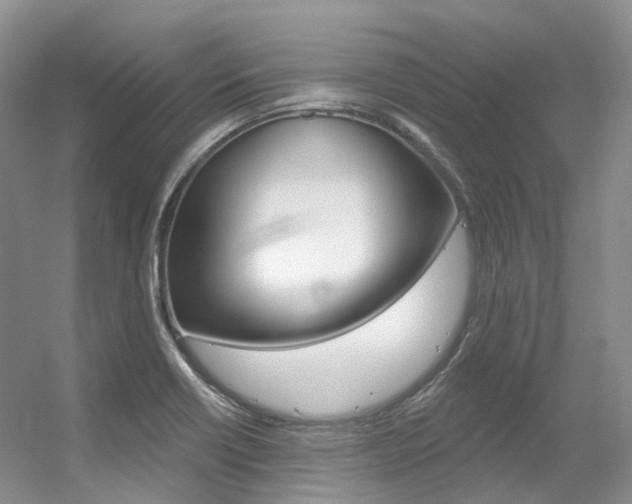 X0000056321418200508260839