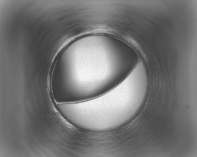 X0000056321420200508260839