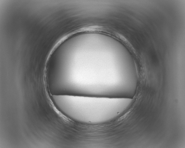 X0000056321421200508260839