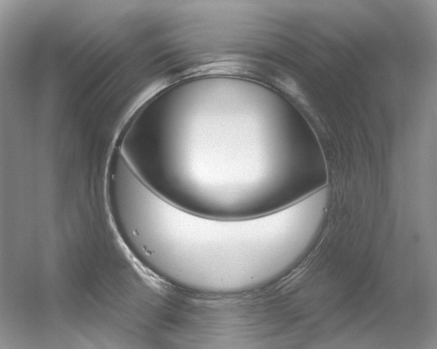 X0000056321426200508260839