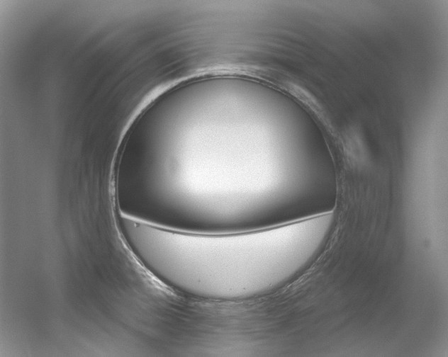 X0000056321428200508260839