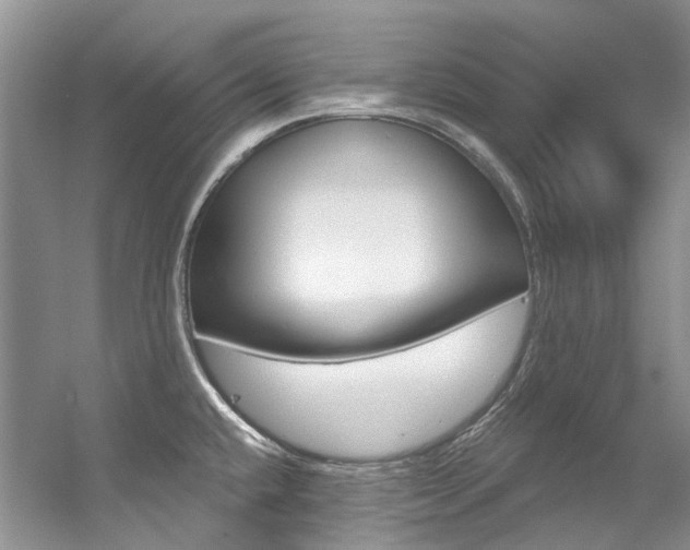 X0000056321432200508260839