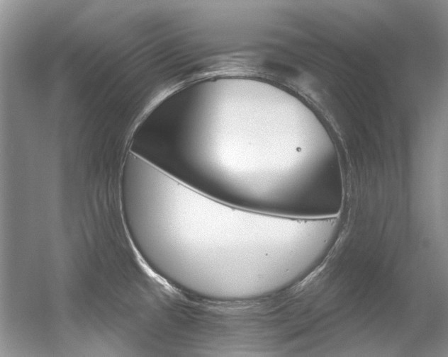 X0000056321433200508260839