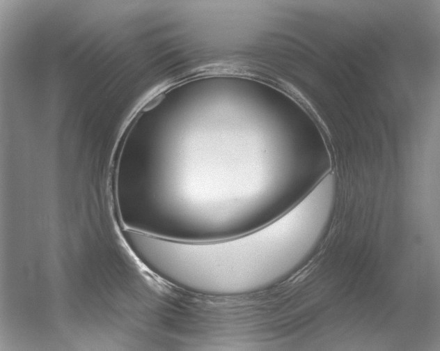 X0000056321434200508260839