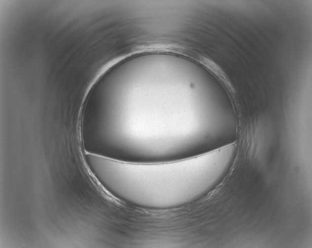 X0000056321436200508260839