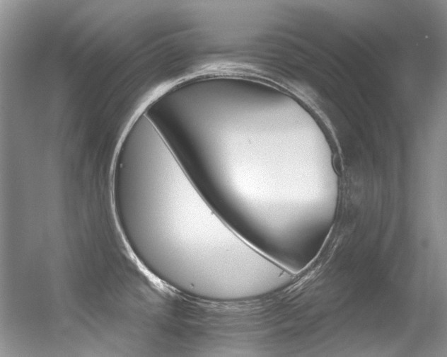 X0000056321437200508260839
