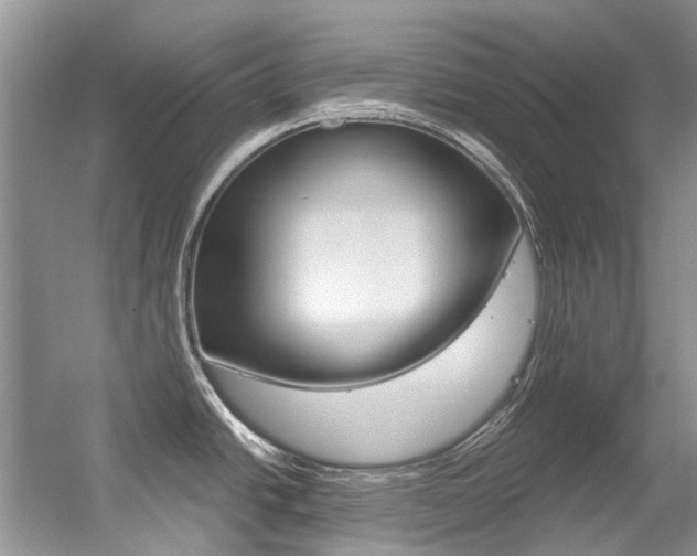 X0000056321438200508260839
