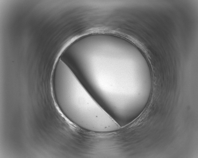 X0000056321440200508260839
