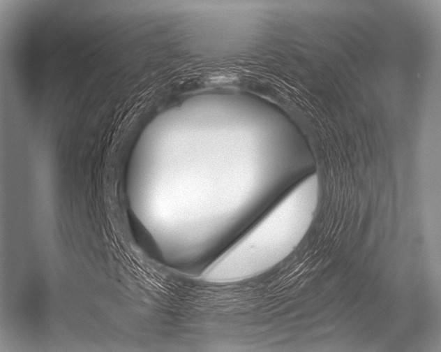 X0000056321441200508260838