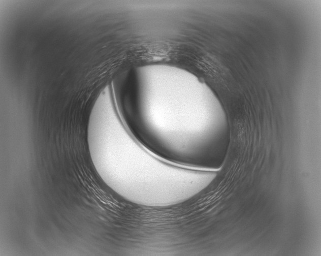 X0000056321442200508260838