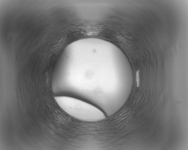 X0000056321443200508260838