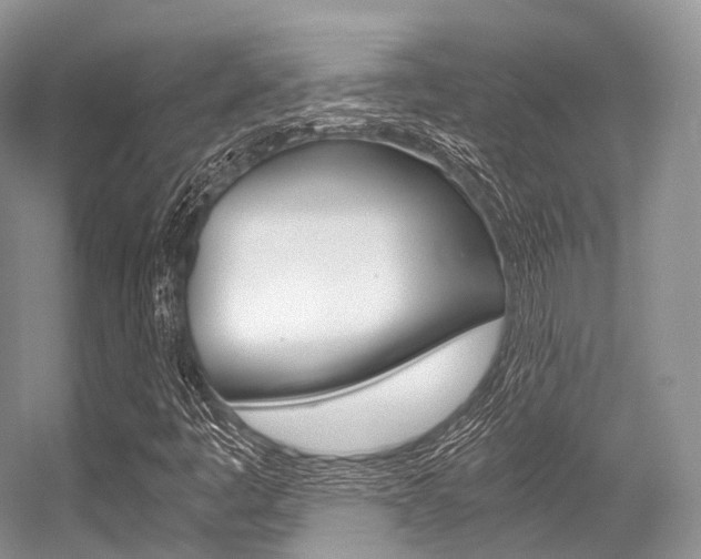 X0000056321445200508260838
