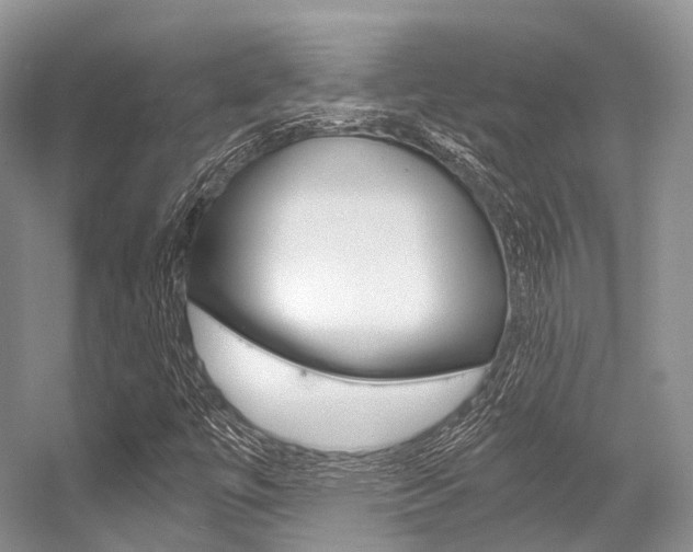 X0000056321447200508260838