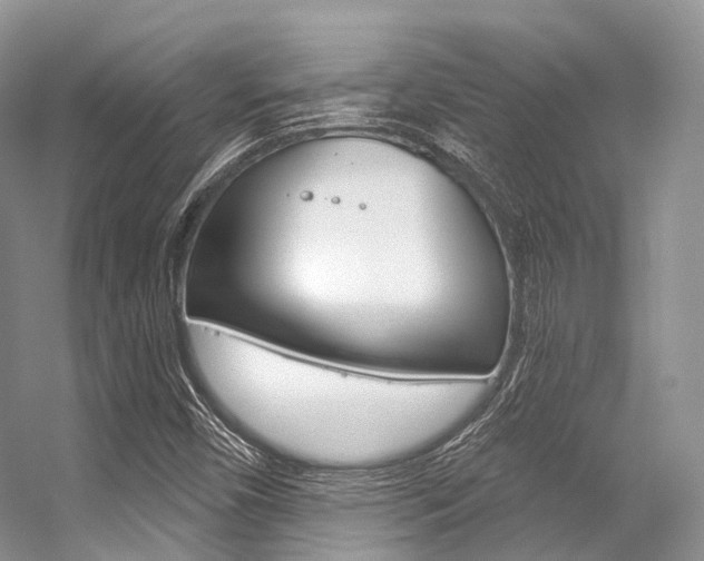 X0000056321450200508260838