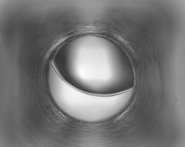 X0000056321453200508260838
