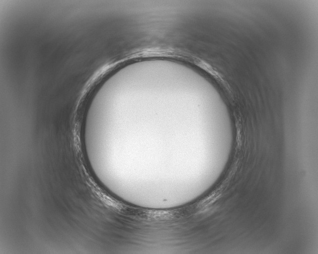 X0000056321454200508260838