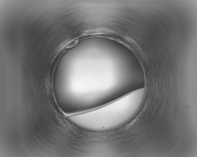 X0000056321457200508260838