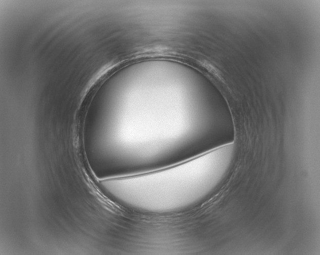 X0000056321458200508260838