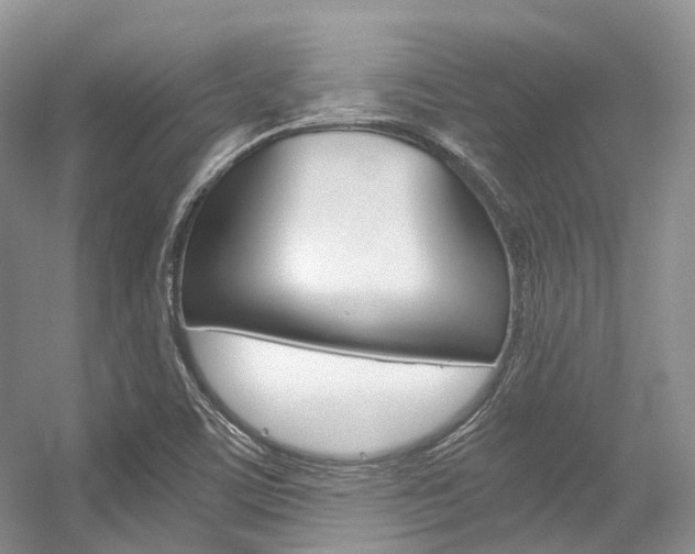 X0000056321459200508260838