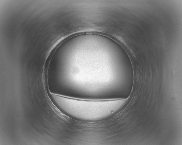 X0000056321460200508260838