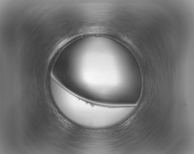 X0000056321461200508260838