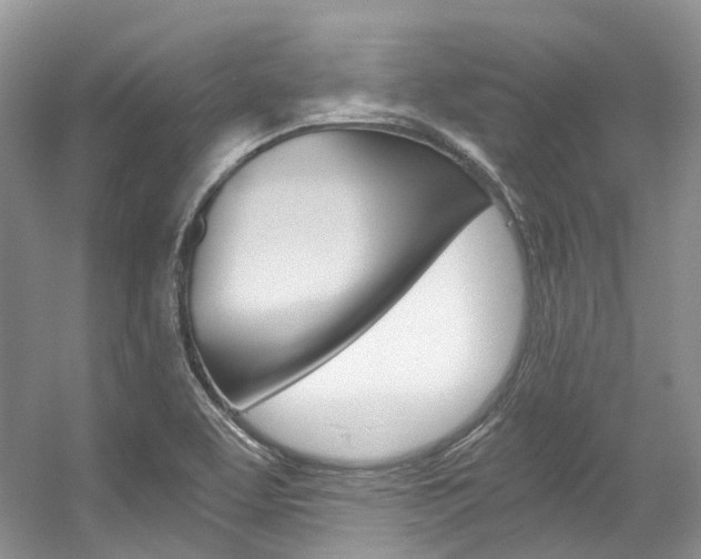 X0000056321463200508260838
