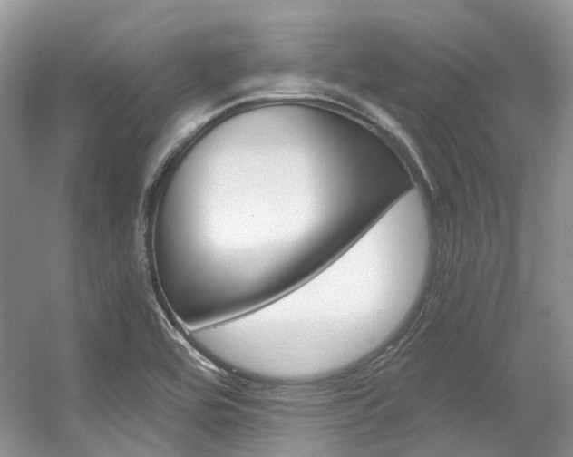 X0000056321464200508260838