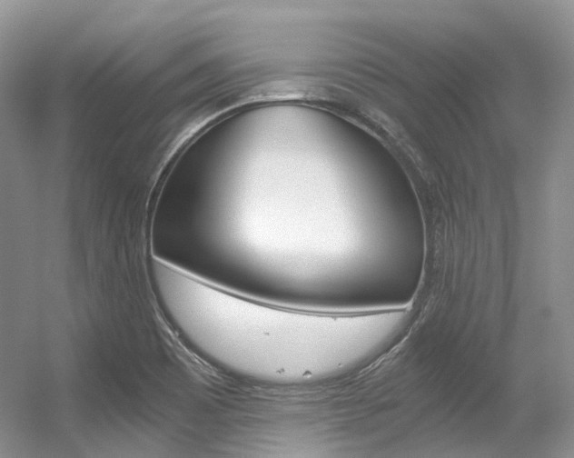 X0000056321465200508260838