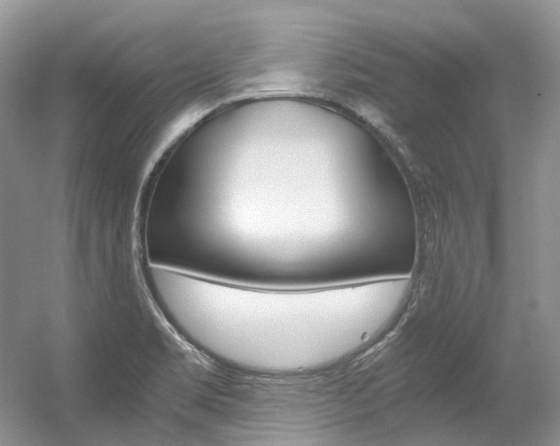 X0000056321469200508260838