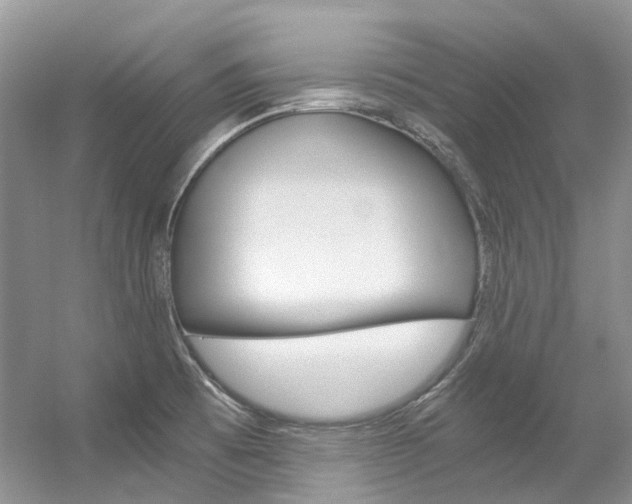 X0000056321473200508260838
