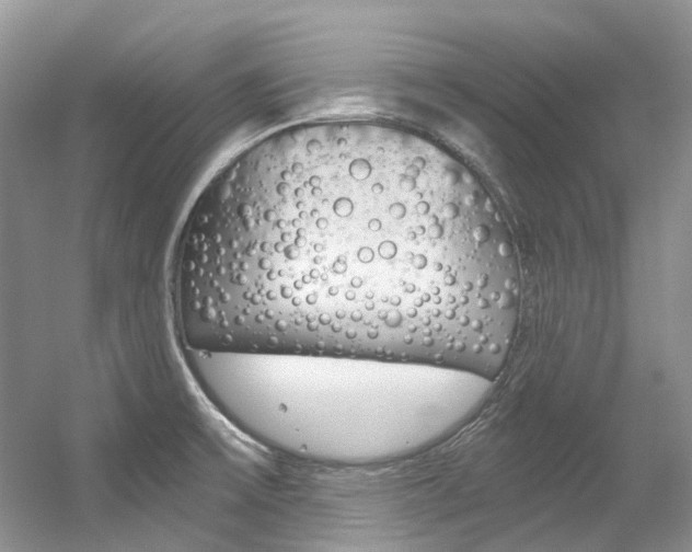 X0000056321475200508260838