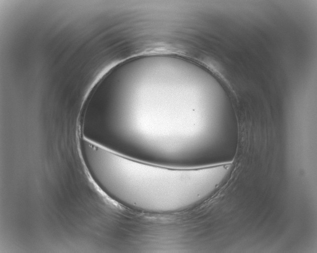 X0000056321476200508260838