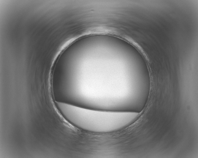 X0000056321477200508260838