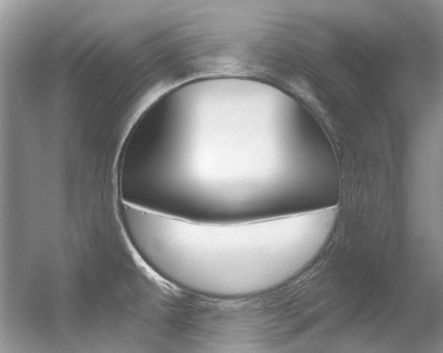 X0000056321479200508260838