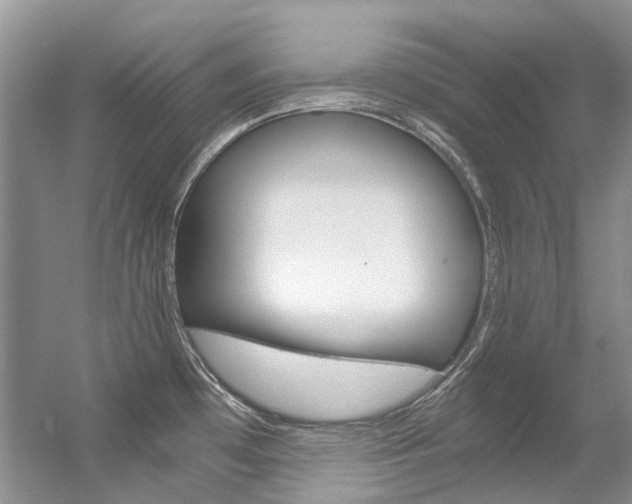 X0000056321481200508260838