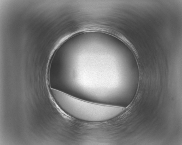 X0000056321485200508260838