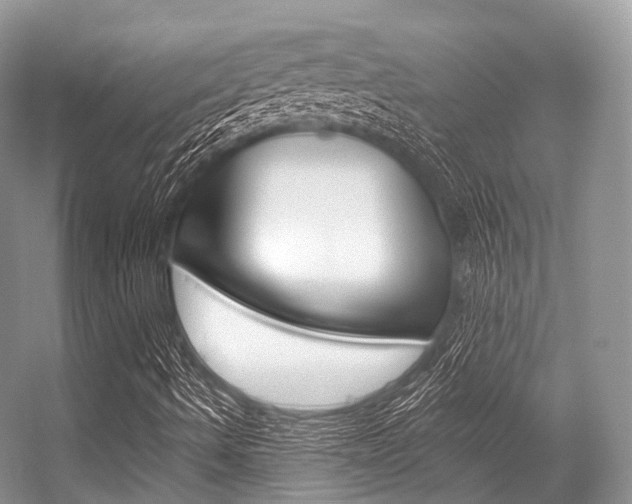 X0000056321490200508260837
