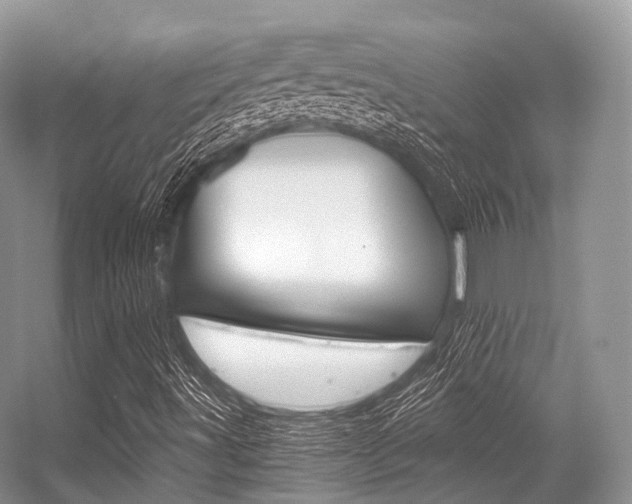 X0000056321491200508260837