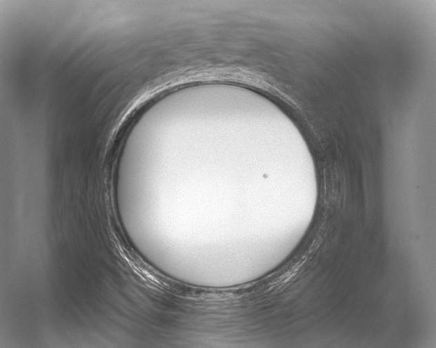 X0000056321498200508260837