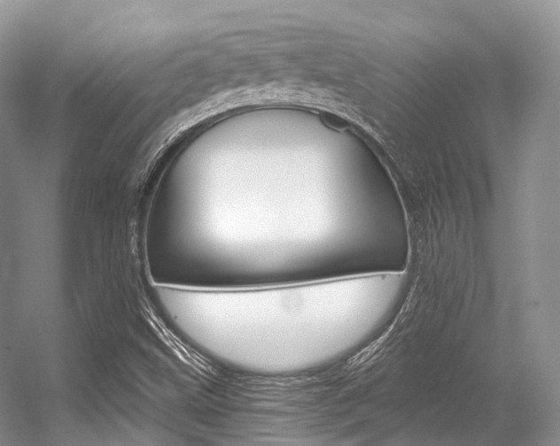 X0000056321499200508260837