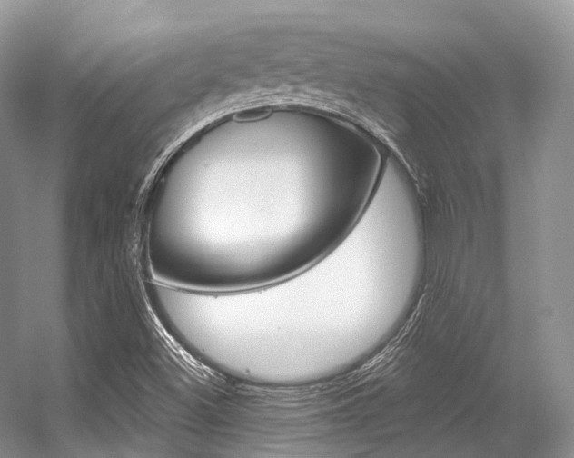 X0000056321500200508260837