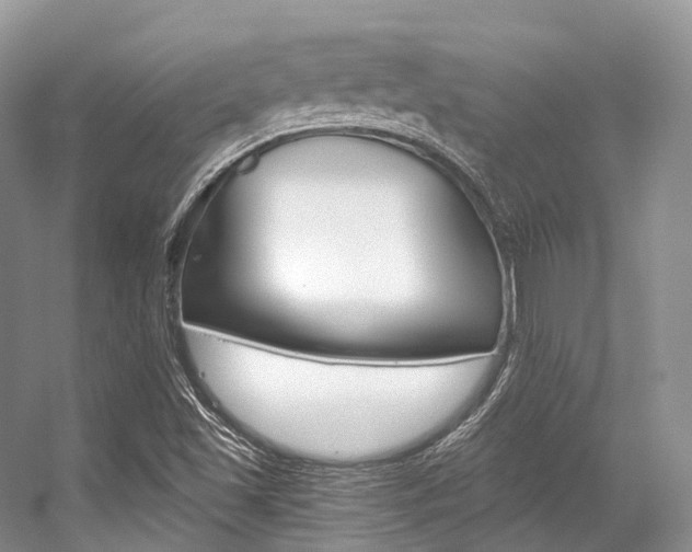 X0000056321501200508260837