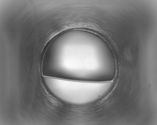 X0000056321505200508260837