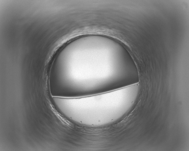 X0000056321507200508260837