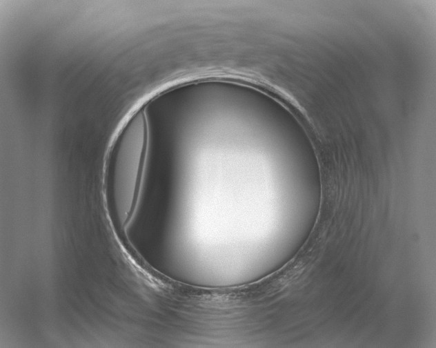 X0000056321508200508260837