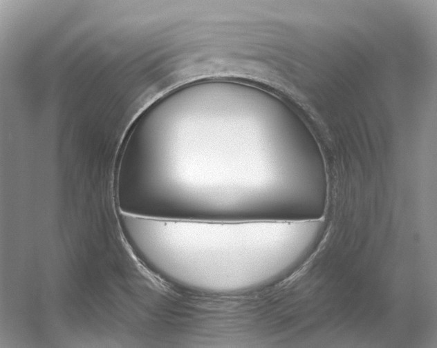 X0000056321513200508260837