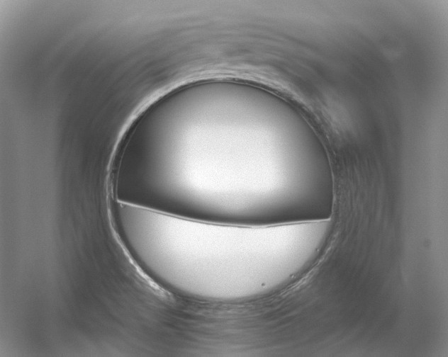 X0000056321517200508260837